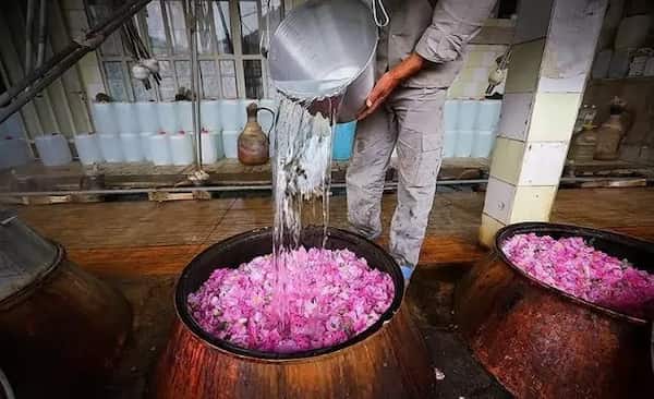 تصویر 1 از خرید و فروش گلاب ارگانیک اصل با شرایط فوق العاده